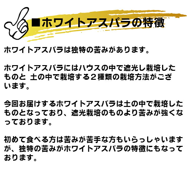 アスパラガス 訳あり 2kg 北海道 富良野産 訳あり ホワイトアスパラ Kg Analysesdesequences Com