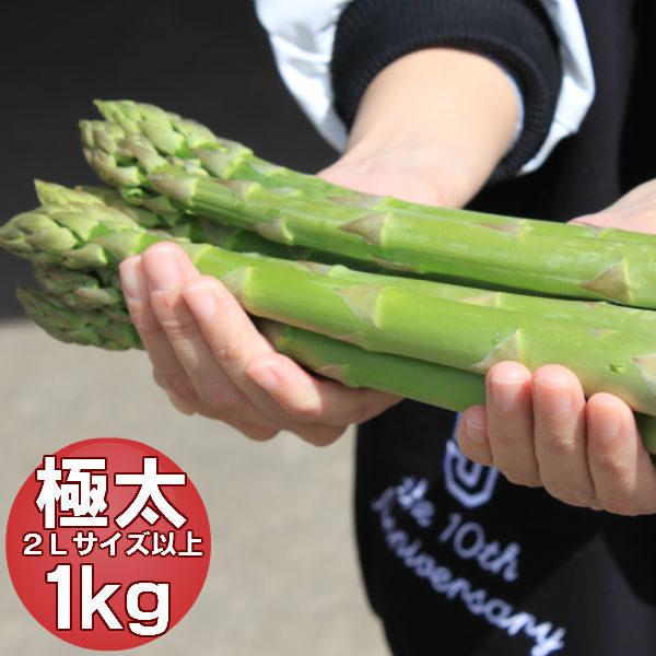 アスパラ グリーンアスパラガス 北海道富良野産 極太 ２Lサイズ １ｋｇ ハウス栽培 送料無料　別途送料が発生する地域あり