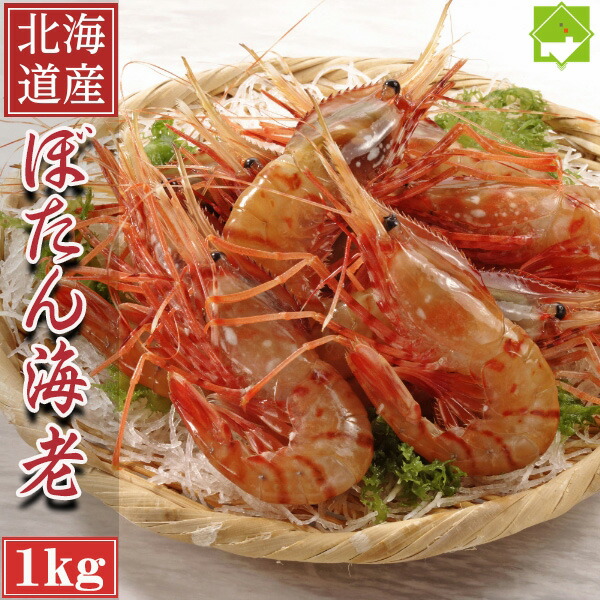 お刺身用 北海道産 特大 ボタンエビ 1kg ぼたんえび 牡丹海老 海老 エビ えび 海鮮 ボタン海老 美味しい 冷凍エビ 冷凍えび 贈答用 グルメ 贈り物 送料無料 実用的 ギフト プレゼント 別途送料が発生する地域あり 冷凍便 生食用