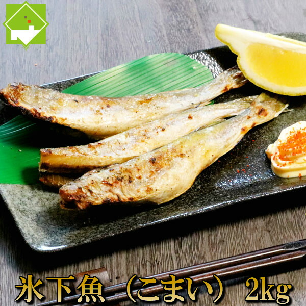 メール便なら送料無料 こまい 一夜干し 生干し 北海道産 2kg 氷下魚 こまい 別途送料が発生する地域あり 正規品 Neostudio Ge