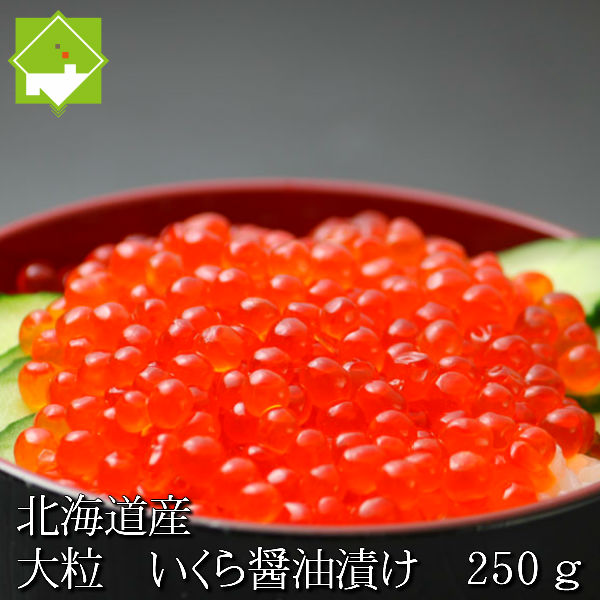 600ikura2020250.jpg