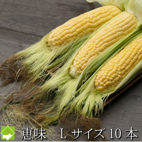 とうもろこしページ2 YBGC 冷凍もちトウモロコシ 2本入 - Weee!