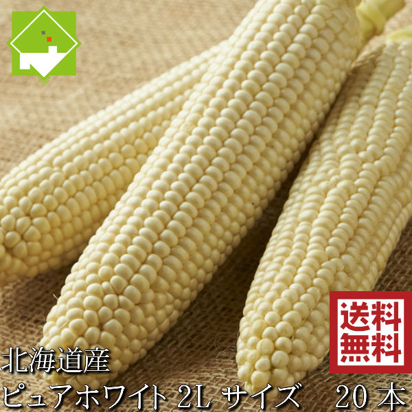 生で食べれるトウモロコシ 北海道富良野産 ピュアホワイト ２０本 Mから２Ｌサイズ混み 送料無料 別途送料が発生する地域あり