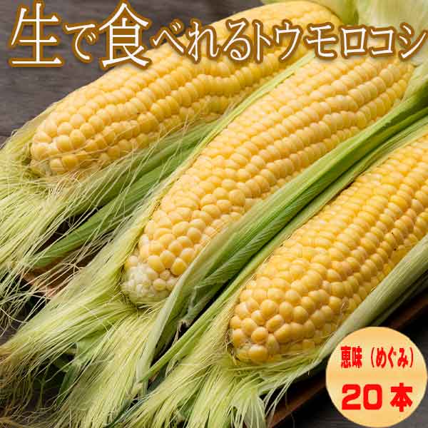 生で食べれる 北海道 富良野産 フルーツ とうもころこし恵味 めぐみ 秀品 Lから2Lサイズ混み 20本入 送料無料　別途送料が発生する地域あり　日時指定不可