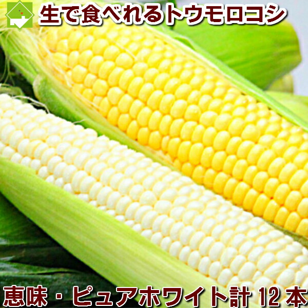 とうもろこし 北海道 富良野産 ピュアホワイト６本 恵味６本 送料無料