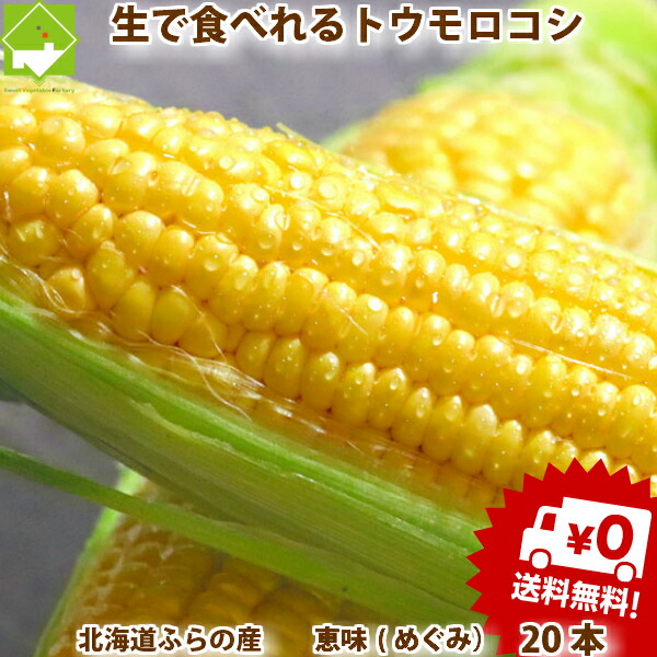 【生】で食べれる！北海道富良野産　フルーツとうもころこし　恵味（めぐみ）　2Lサイズ　20本　送料無料 別途送料が発生する地域があります
