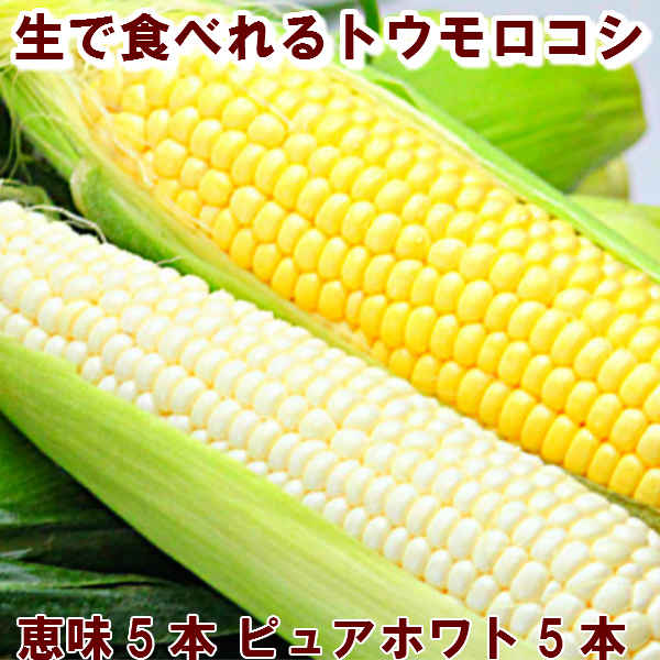 とうもろこし　送料無料　北海道富良野産　２色入り　ピュアホワイト５本・恵味５本　 7月中旬から8月25日着