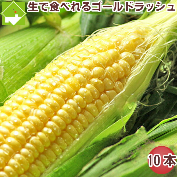 とうもろこし　北海道　富良野産　ゴールドラッシュ　２Ｌサイズ 20本入り　送料無料