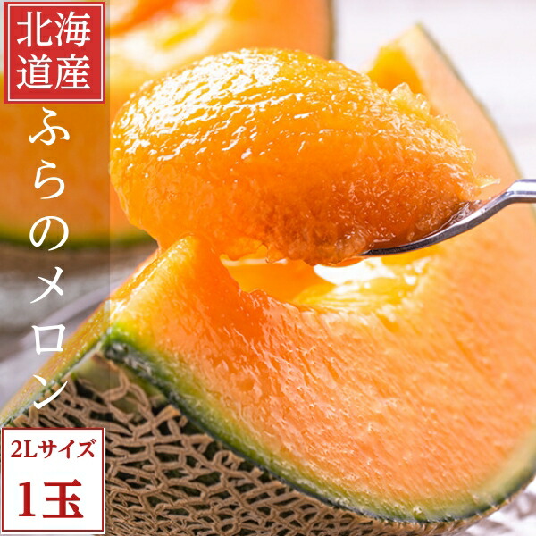 北海道富良野産  富良野メロン 赤肉 秀品 ２Ｌサイズ １玉入り 送料無料 お中元対応