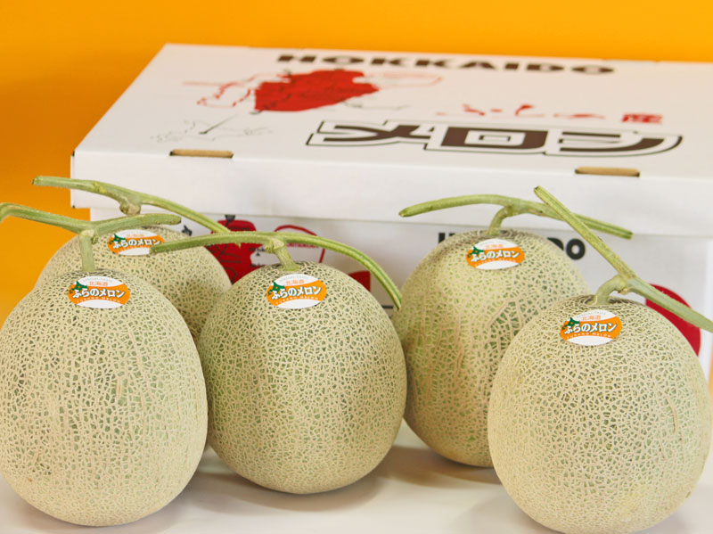 北海道富良野産メロン 赤肉メロン 2Lサイズ(1.4kg前後) 5玉入り|スイートベジタブルファクトリー