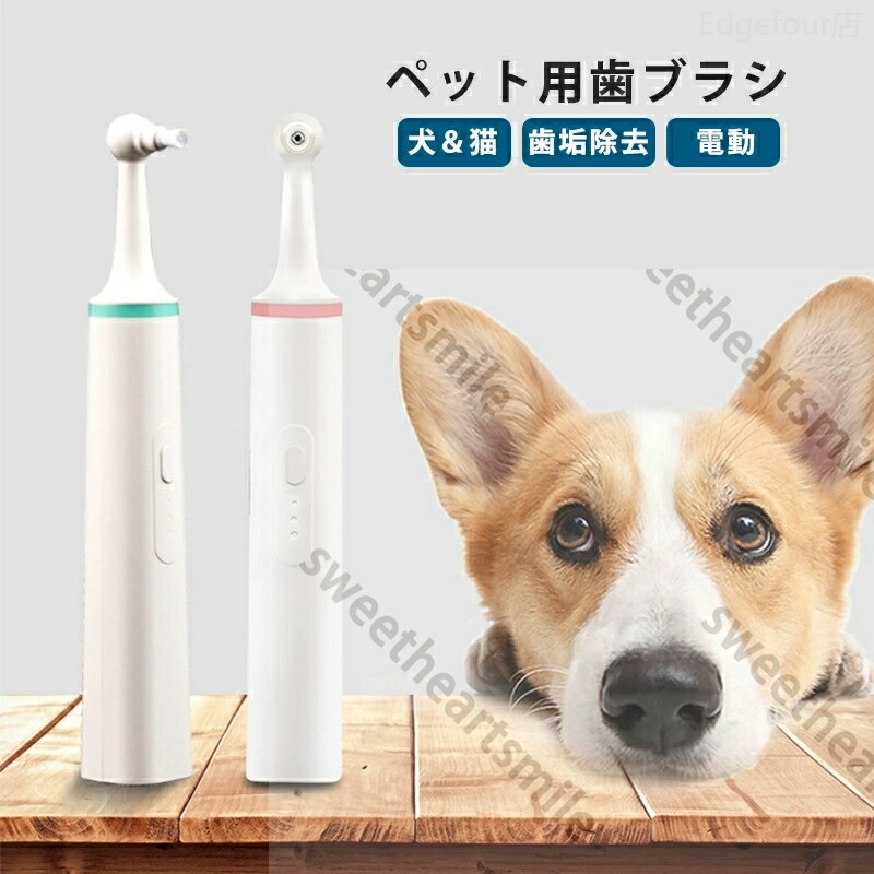 ペット 歯ブラシ 電動歯ブラシ ペット用歯ブラシ 犬用 猫用 オーラルケア歯石 歯バクテリア 歯周病 クリーニングツール 送料無料