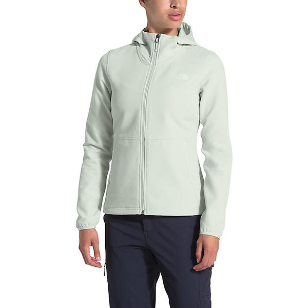 the north face women's tekno ridge hoodie