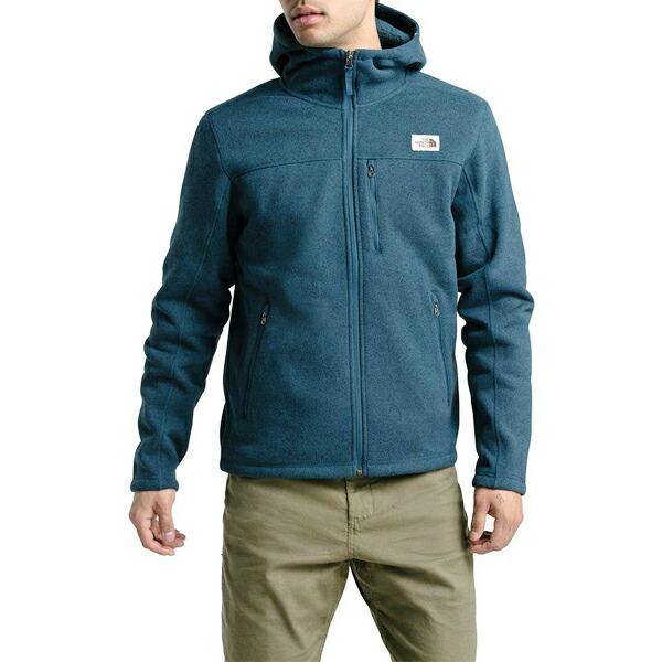 the north face men's gordon lyons hoodie