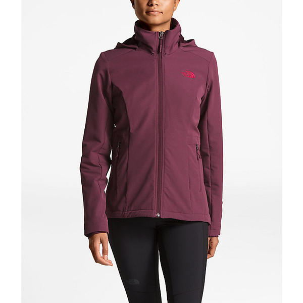 the north face women's shelbe raschel hoodie