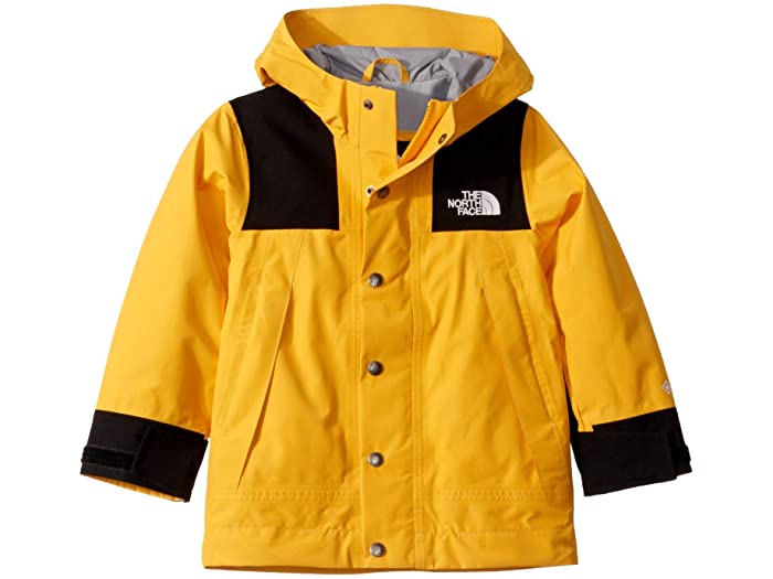 素晴らしい品質 Kids Big Little Jacket Gore Tex Mountain Kid S Face North The キッズ キッズ ビッグ リトル ジャケット ゴアテックス マウンテン キッズ 取寄 ノースフェイス Kids Yellow Tnf Tnfz 905 Tnfy Www Aesroofing Co Uk