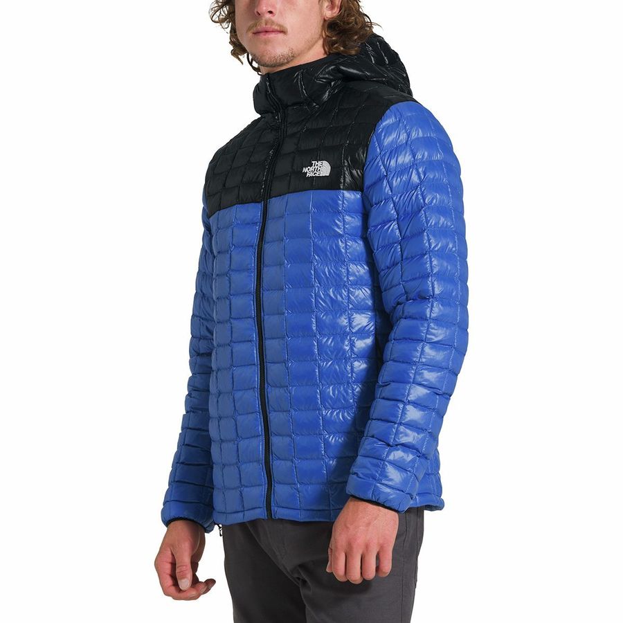 メンズウェア-でおすすめアイテム。 Hooded Eco Thermoball Face North The メンズ - ジャケット フーデット エコ  (取寄)ノースフェイス Jacket Black Blue/Tnf Tnf Men's - webdelcule.com -  webdelcule.com