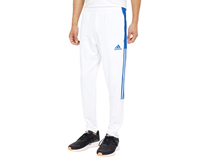 取寄 アディダス メンズ ティロ パンツ Adidas Men S Tiro 21 Pants White Team Royal Blue Cdm Co Mz