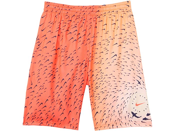 取寄 ナイキ シャーク ブレーカー 8 ヴォレー さる股引き Nike Kids Shark Breaker 8 Volley Shorts Bright Crimson Nike ナイキ キッズ 水着 ズボン下 半ばパンツ 遊撃手パンツ スイム アウトドア 商標 心安い 可也号数 ビックサイズ Chelseafilm Org