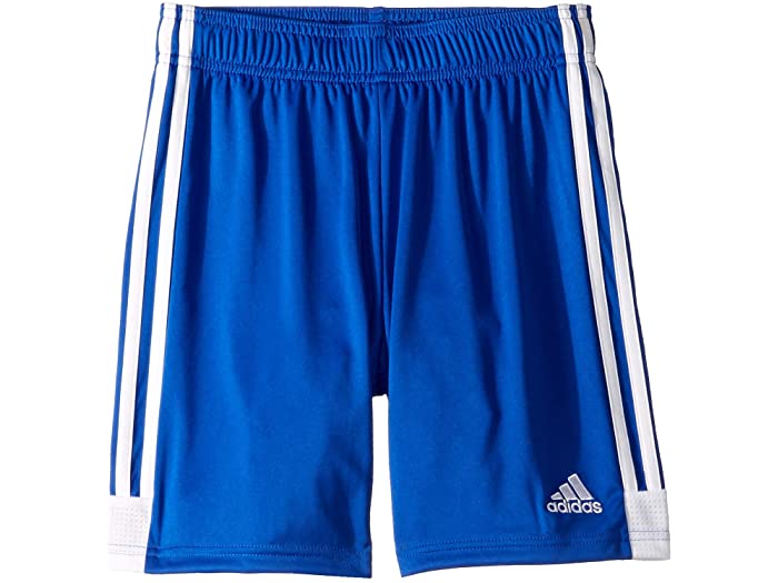 取寄 アディダス キッズ タスティゴ 猿股引き リトル キッズ ビッグ キッズ Adidas Kids Tastigo19 Shorts Little Kids Big Kid Bold Blue White Vnmsport Com