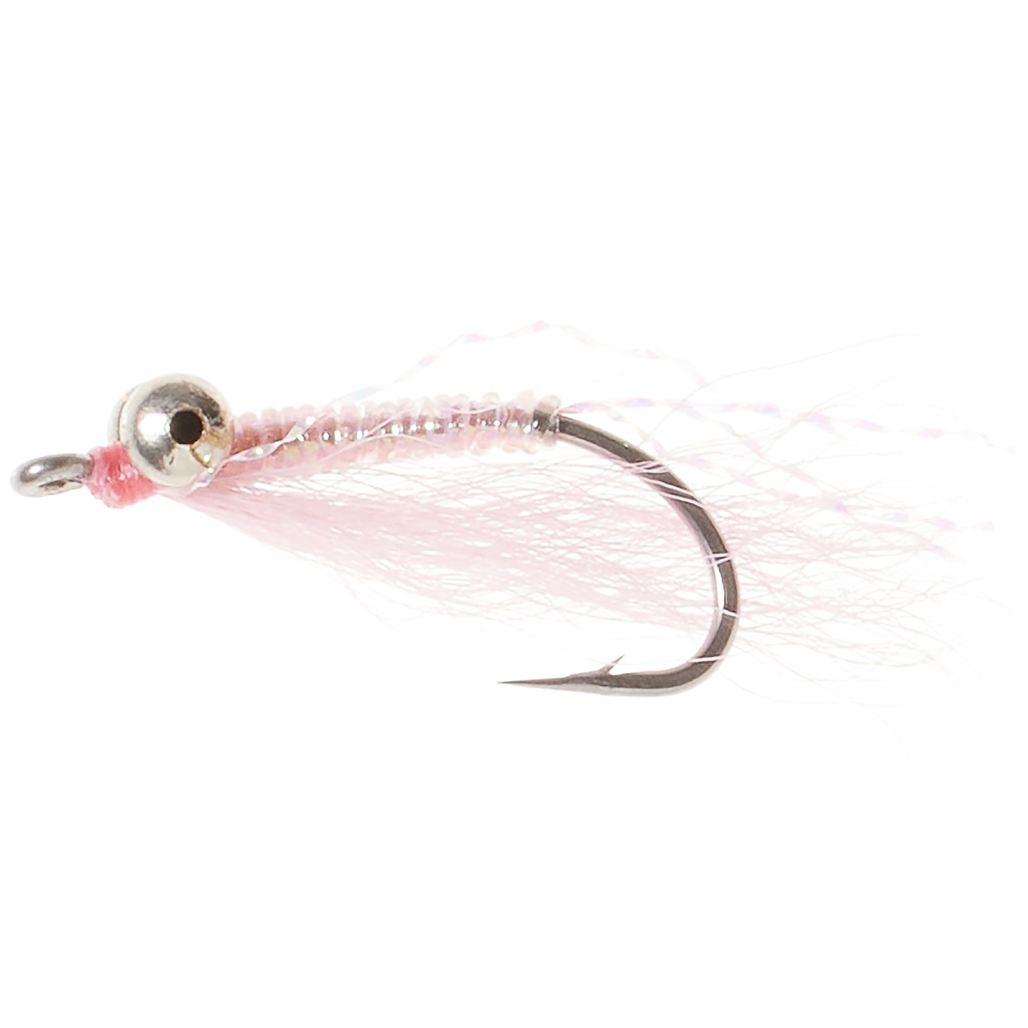 楽天市場】ウォーターランド×モコリー クレイジーサウンダー