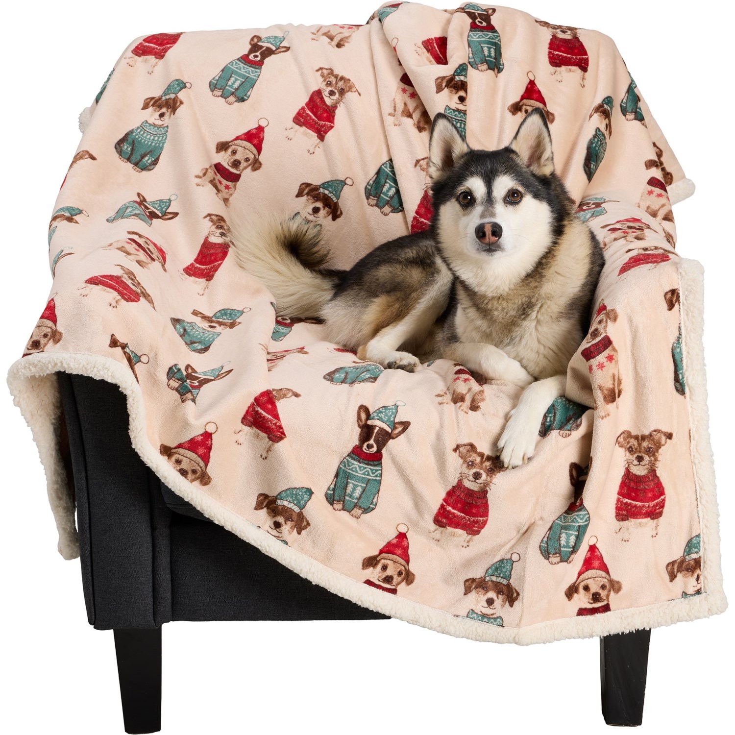 (取寄) ミクロ シェルパ フリース ペット スロー ブランケット - ウォータープルーフ, 60x70インチ Canine Creations Micro Sherpa Fleece Pet Throw Blanket - Waterproof, 60x70” Sweater Dogs