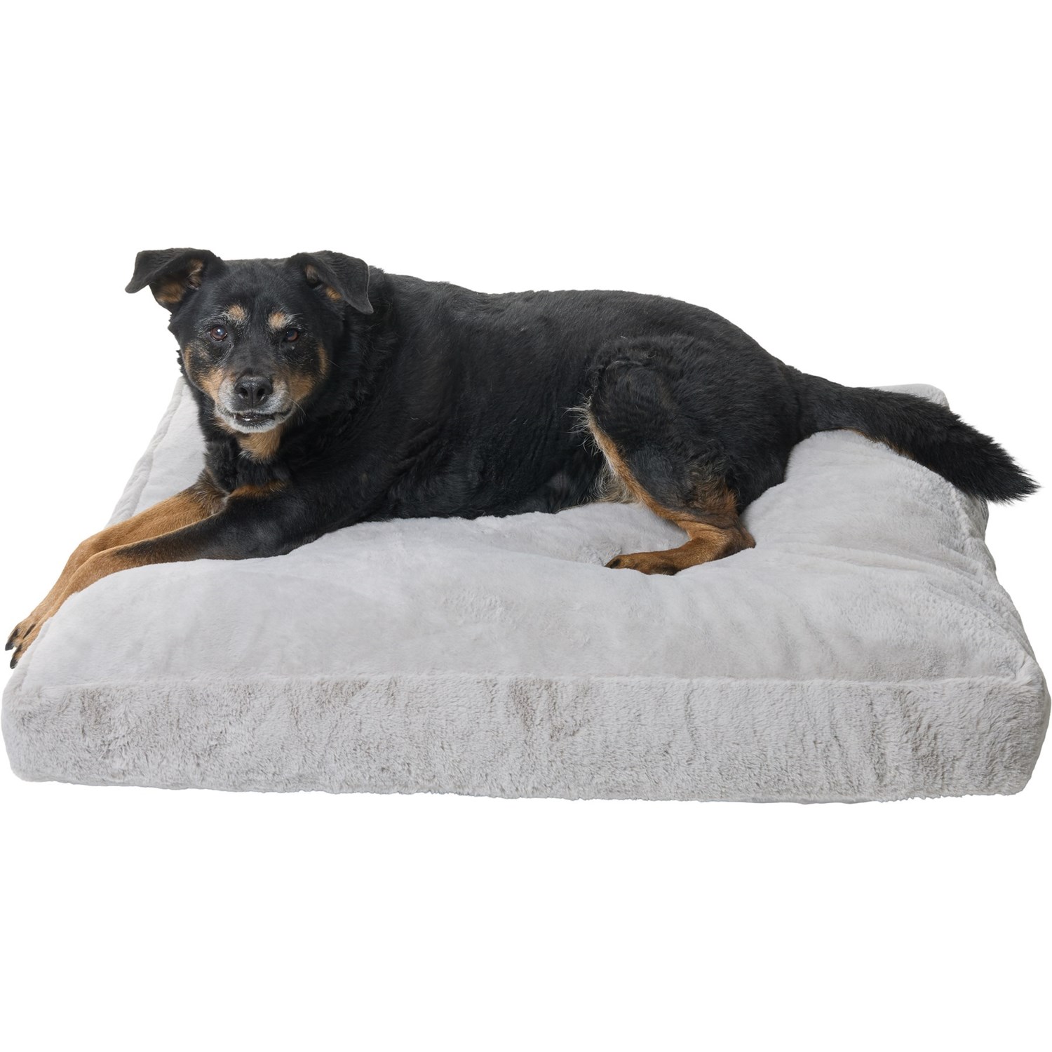 (取寄) クラウド プラッシュ ドッグ ベッド - Mac & Molly Cloud Plush Dog Bed - 40x28\