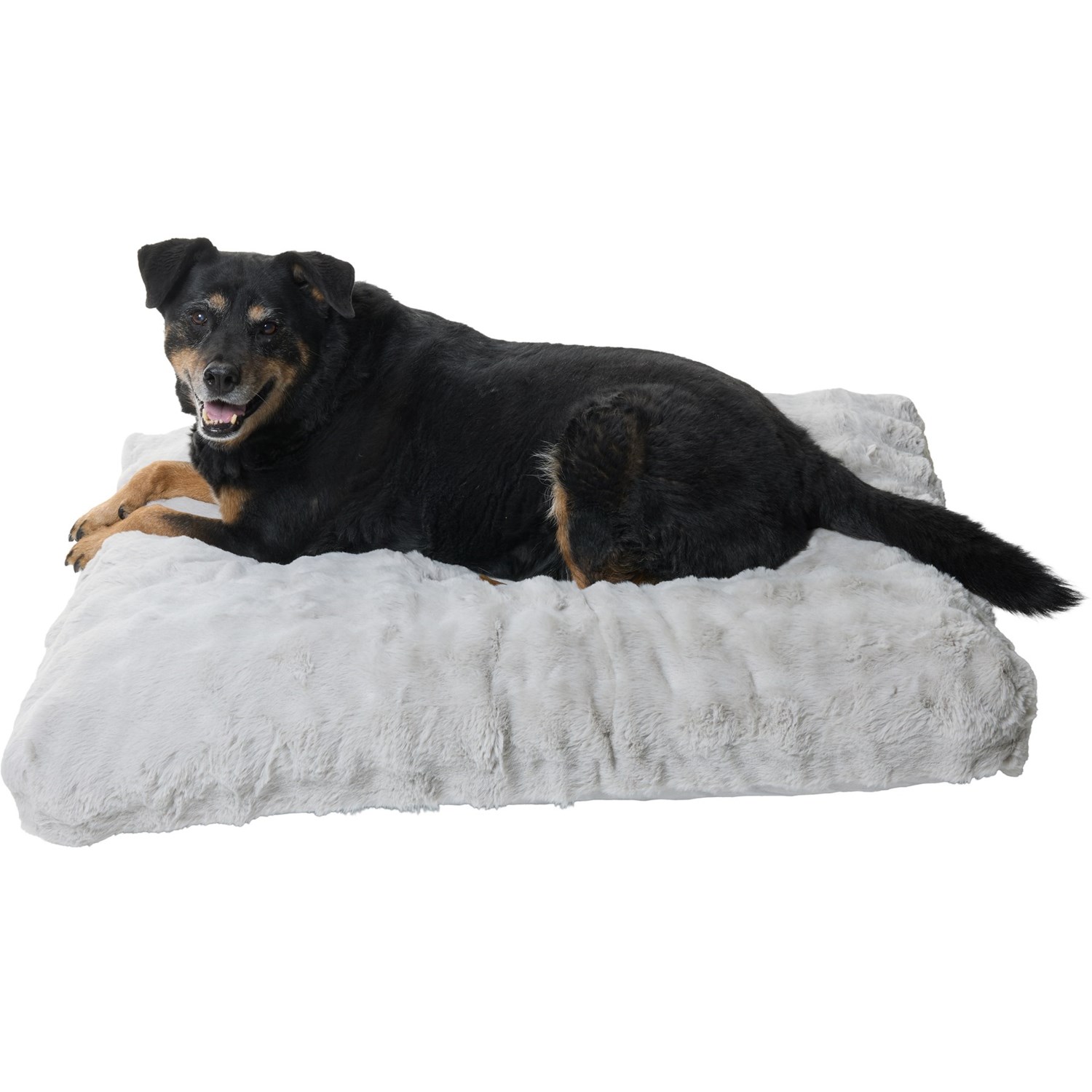 (取寄) クラウド プラッシュ ドッグ ベッド - Mac & Molly Cloud Plush Dog Bed - 40x28\