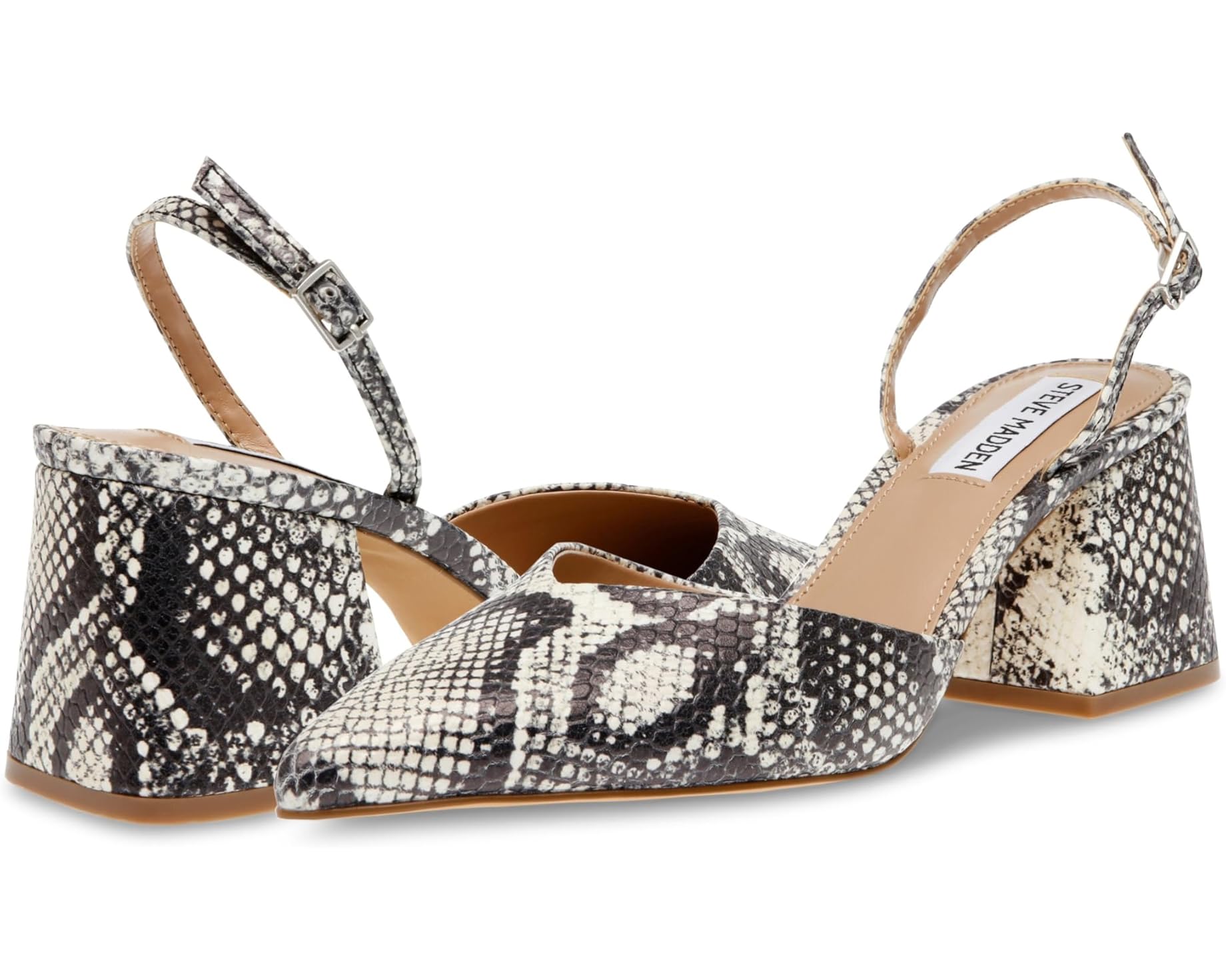 (取寄) スティーブマデン レディース コーティーン Steve Madden women Courtine Snake｜スウィートラグ 24,731円