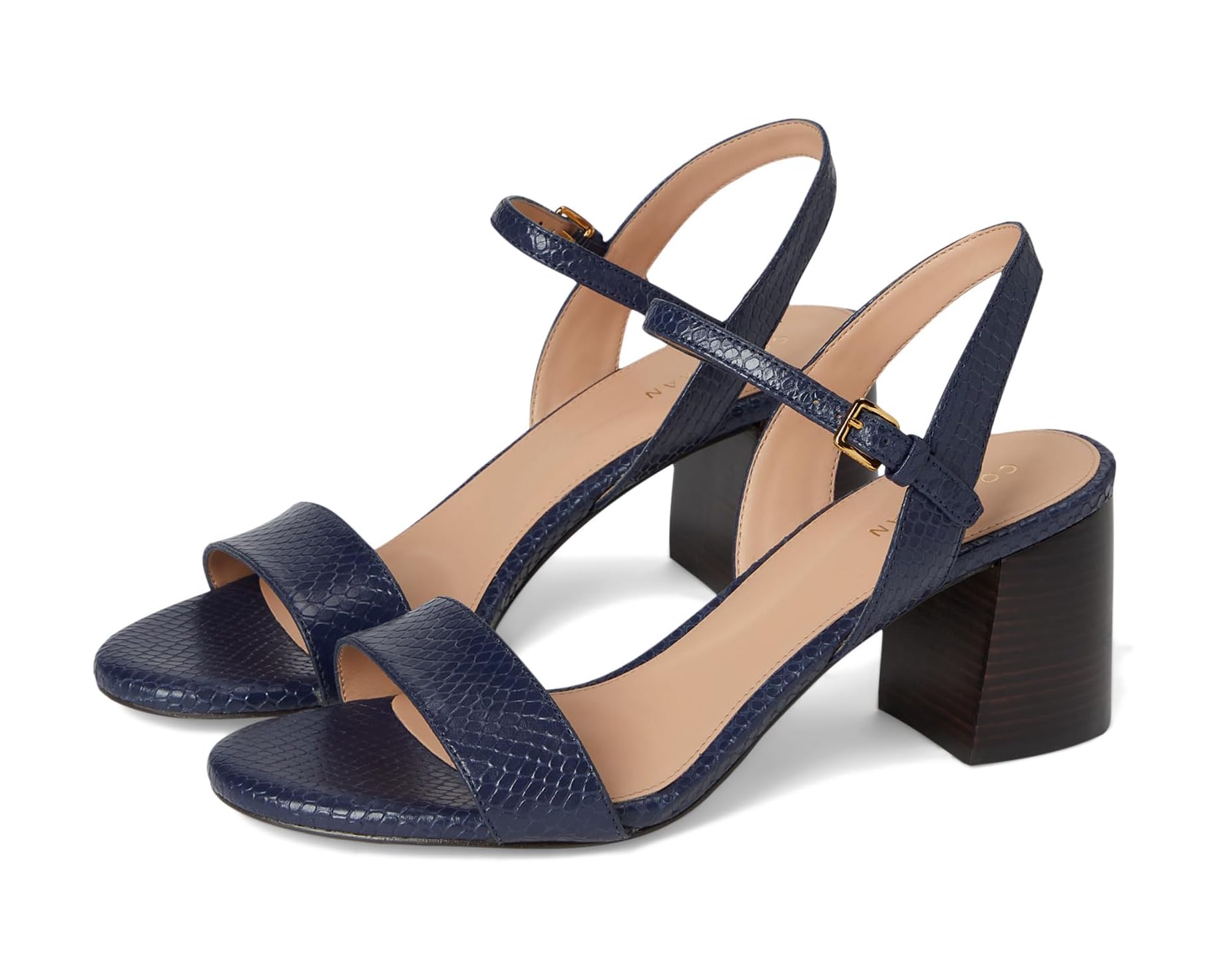 (取寄) コールハーン レディース ジョシー ブロック ヒール サンダル (65 mm) Cole Haan women Josie Block Heel Sandal (65 mm) Midnight/Snake Print｜スウィートラグ