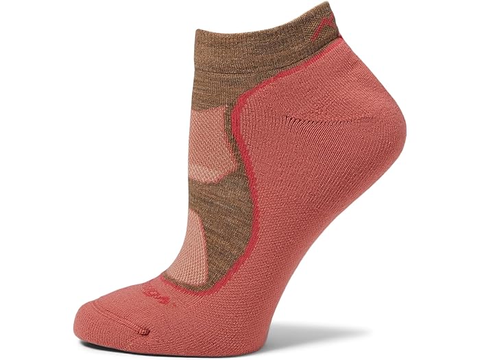 (取寄) ダーンタフバーモント レディース ライト ハイカー ノー ショー ライトウェイト ウィズ クッション Darn Tough Vermont women Light Hiker No Show Lightweight with Cushion Canyon