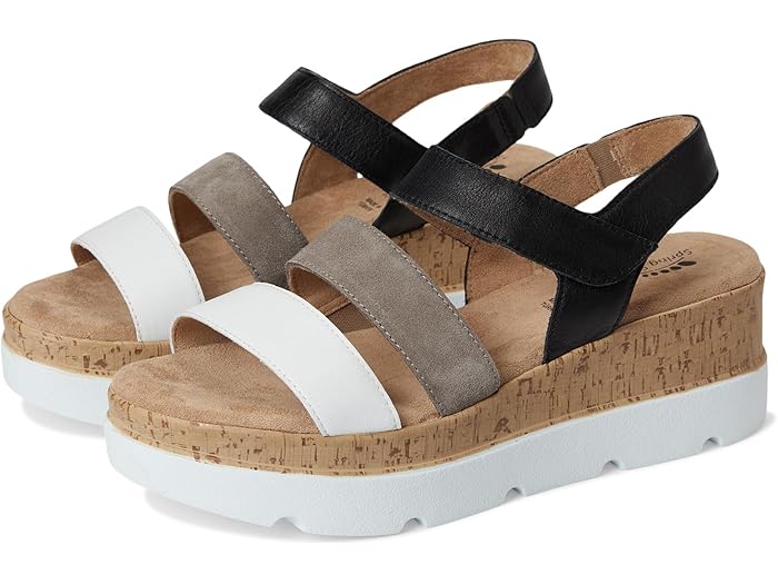 (取寄) スプリング ステップ レディース Spring Step women Acey Black Multi