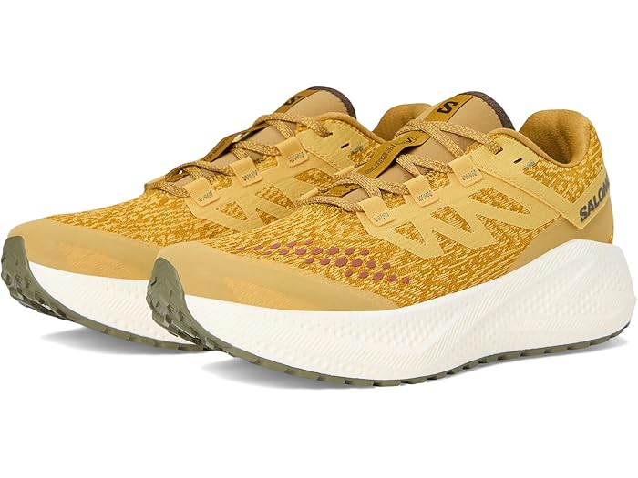 (取寄) サロモン メンズ エアロ グライド 3 GRVL Salomon men Aero Glide 3 Grvl Spicy Mustard/Vanilla Ice/Deep Lichen Green