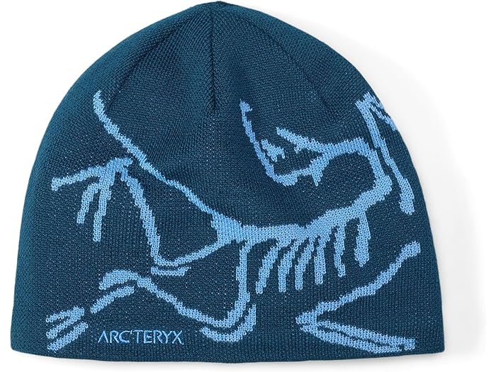 【26日発送】ARC'TERYX ビーニーBird Head Toque Arc'teryx Bird Head Toque Beanie Arctic Silk/Rune メンズ