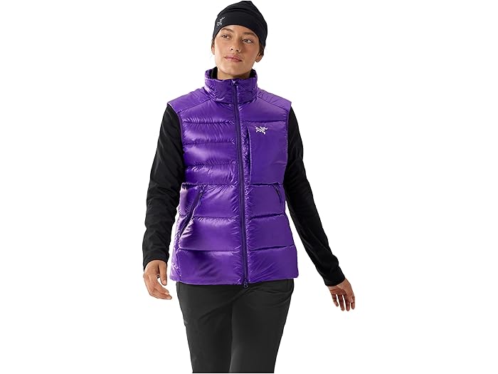 楽天市場】ARC'TERYX(アークテリクス) GAMMA AR VEST BLACK Sサイズ