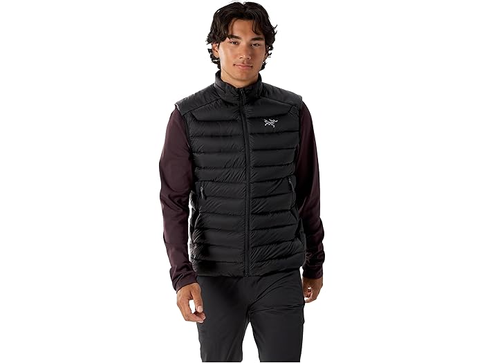 楽天市場】ARC'TERYX(アークテリクス) GAMMA AR VEST BLACK Mサイズ
