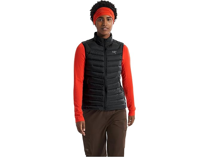 (取寄) アークテリクス レディース セリウム ベスト Arc'teryx women Cerium Vest Black 3