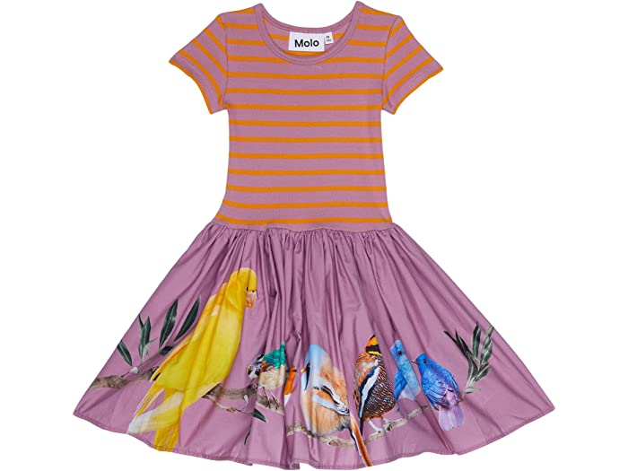 (取寄) モロ ガールズ シッサ ドレス (リトル キッズ ビッグ キッズ) Molo girls Cissa Dress (Little Kids Big Kids) Bird Planets