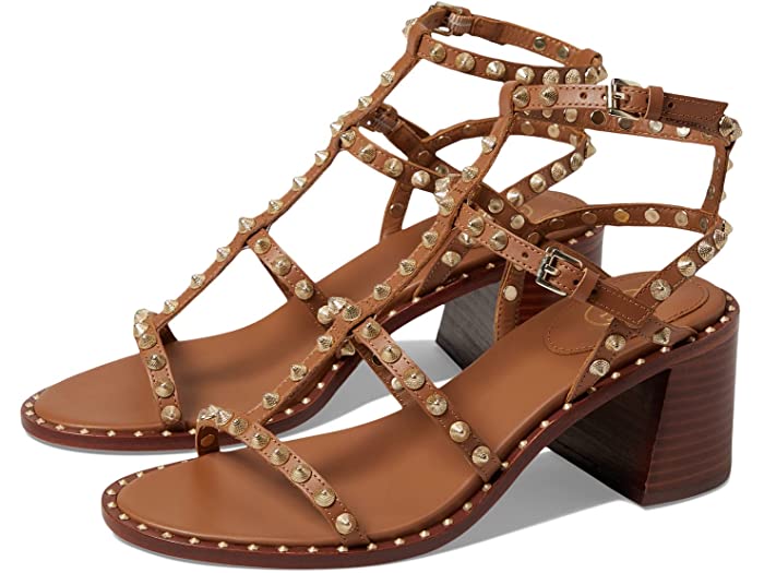 取寄 アッシュ レディース women ジェン ASH New Cinnamon Jen