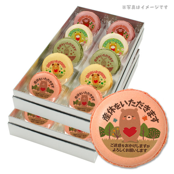 産休 お菓子 メッセージマカロン 動物がペコリとごあいさつ Bセット 5つのフレーバーがおいしい プリントマカロン 個セット スイーツ 産休のお礼 あいさつにメッセージマカロンで気持ちを伝えましょう 黄色4 冷蔵庫で1日置いていただけると美 Volleybalcluboegstgeest Nl
