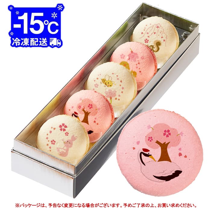 マカロン ジュエルマカロン10個セット | 愛知県豊川市 | ふるさと納税