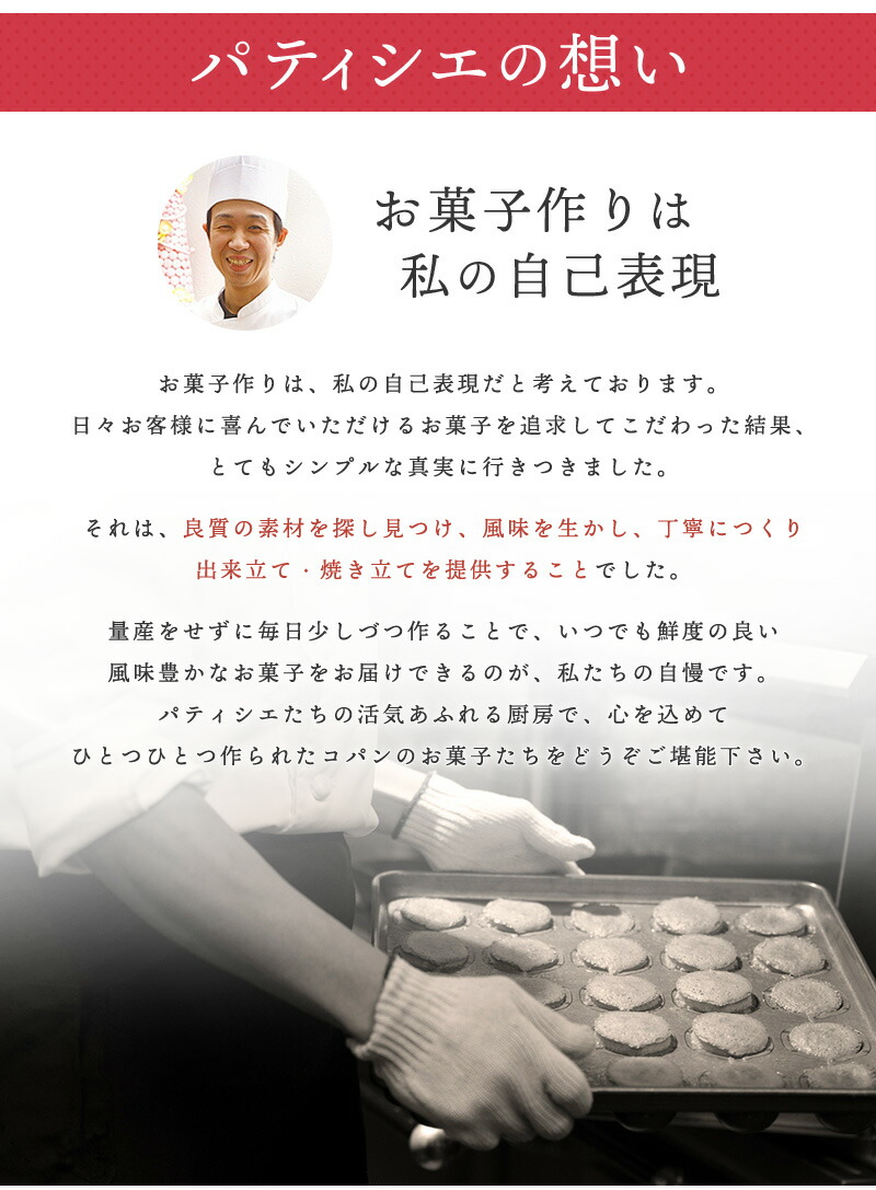 楽天市場 写真ケーキ 送料無料 誕生日ケーキ キャラクター 9号 16 人分 チョコ 子供 プリントケーキ ケーキ スイーツ ギフト バースデーケーキ イラスト 大人 ケーキ お祝い 内祝い 写真入り 誕生日 贈り物 お中元 デコレーションケーキ フォトケーキ