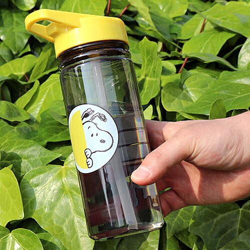楽天市場 スケーター スタイリッシュブローボトル 500ml ｓｎｏｏｐｙ レトロラベル プラスチック水筒 軽量 おしゃれ フレーバーウォーター お茶 ジュース スリム 水筒 ボトル スヌーピー スケーター公式ショップ