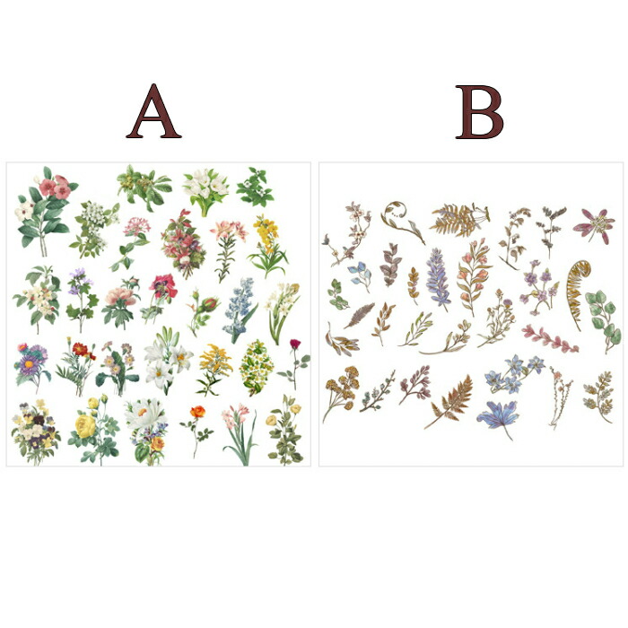 楽天市場 マスキングテープ素材 フレークシール 60枚入り S14 海外ステッカー 大きめ お花 植物 フラワー 葉 コラージュ デコ おしゃれ 珍しい ジャンクジャーナル お裾分けファイル シール Pales Chop