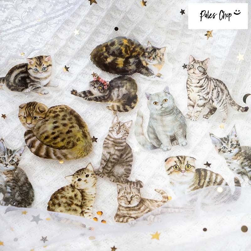タイルシール 猫 動物 2枚セット 猫雑貨 猫柄 デザインタイル Shinzi Katoh シンジカトウ 選べる