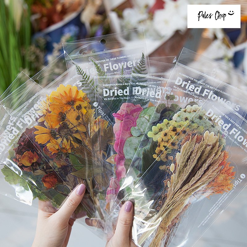 楽天市場 Dryed Flowers Sticker S63 ドライフラワー Large 大きめ リアル 鮮やか 透明 クリア カラフル おしゃれ 珍しい お花 植物 花 デコ コラージュ アレンジ Diy ステッカー シール Pales Chop 楽天市場 Dryed Flowers Sticker S63 ドライフラワー Large 大きめ リアル 鮮やか 透明 クリア カラフル おしゃれ 珍しい お花 植物 花 デコ コラージュ アレンジ Diy ステッカー シール Pales Chop
