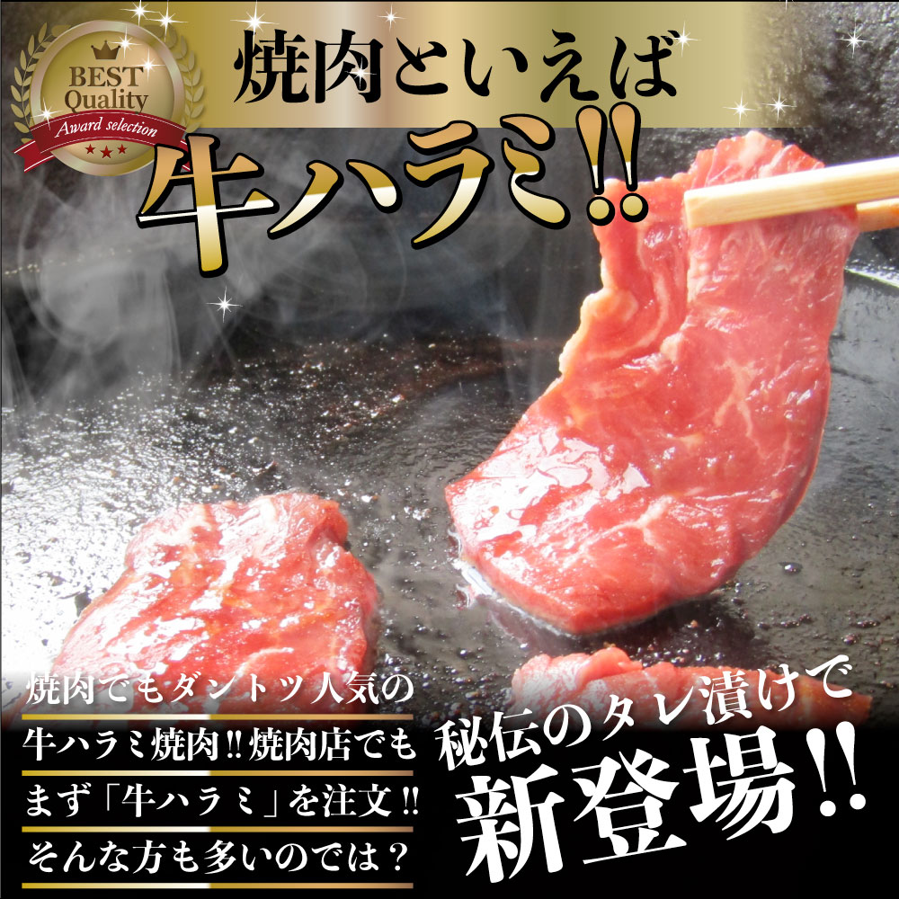 値引 牛ハラミ焼肉 タレ漬け 10kg 250g 40 タレ 秘伝 焼肉セット 焼肉 ランキング1位 やきにく ハラミ アウトドア お家焼肉 レジャー バーベキュー 肉 食材 セット バーベキューセット q qセット お肉のしゃぶまる 新しい到着 Vancouverfamilymagazine Com