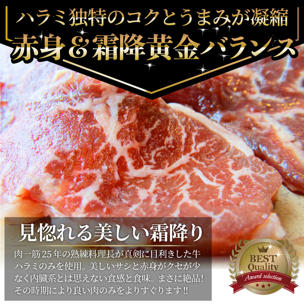 値引 牛ハラミ焼肉 タレ漬け 10kg 250g 40 タレ 秘伝 焼肉セット 焼肉 ランキング1位 やきにく ハラミ アウトドア お家焼肉 レジャー バーベキュー 肉 食材 セット バーベキューセット q qセット お肉のしゃぶまる 新しい到着 Vancouverfamilymagazine Com