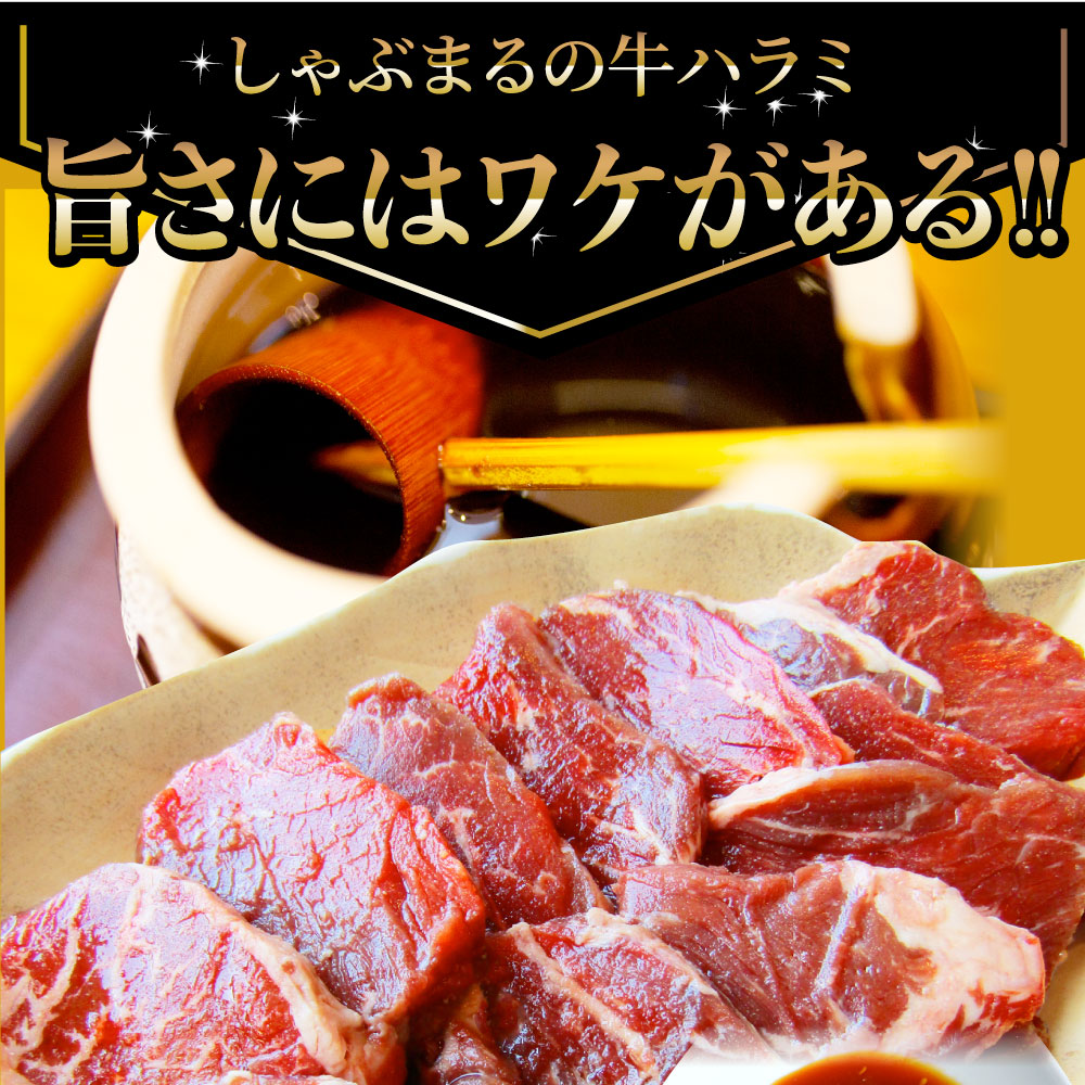 値引 牛ハラミ焼肉 タレ漬け 10kg 250g 40 タレ 秘伝 焼肉セット 焼肉 ランキング1位 やきにく ハラミ アウトドア お家焼肉 レジャー バーベキュー 肉 食材 セット バーベキューセット q qセット お肉のしゃぶまる 新しい到着 Vancouverfamilymagazine Com