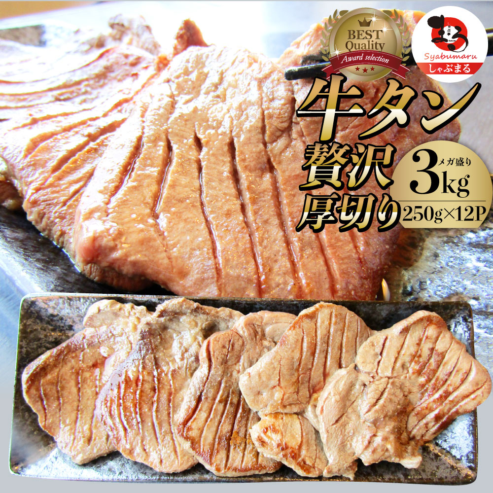 超歓迎された】 肉 お中元 ギフト 食品 お祝い 新生活 牛肉 牛タン 焼肉 3kg 250g×12P 厚切り 約24人前 贈答 御祝 内祝い  お取り寄せ 冷凍 焼肉セット ランキング1位 送料無料 バーベキュー 食材 セット バーベキューセット キャンプ キャンプ飯 fucoa.cl