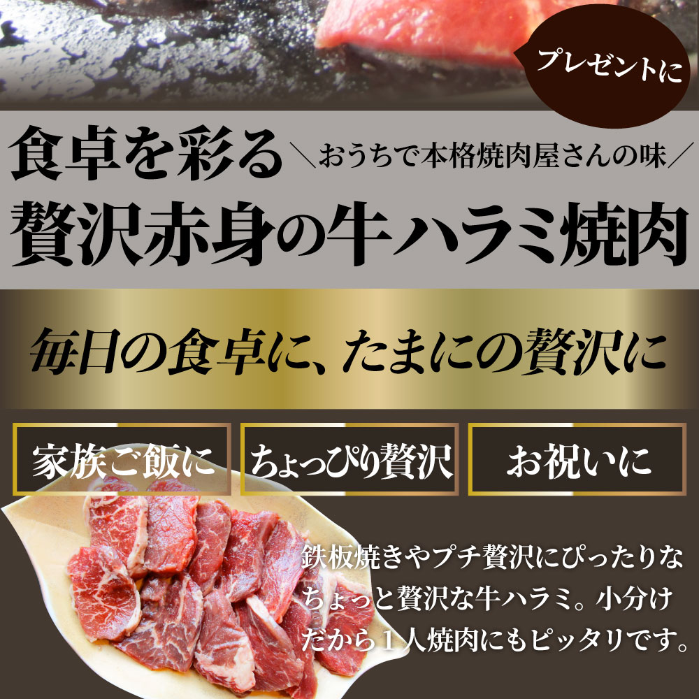 市場 牛 肉 250g×2P 通販 メガ盛り 当日発送対象 贅沢 お取り寄せ サガリ 焼肉 牛肉 ハラミ 500g アメリカ産 送料無料 お徳用 赤身  おトク あす楽